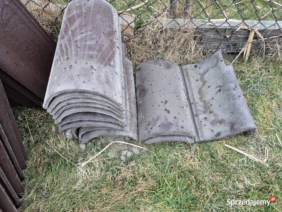 Dachówka Oldenburg gąsiory