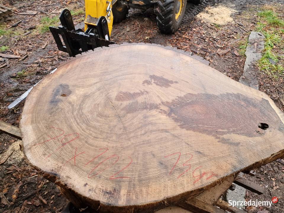 Plastry dębowe pakiet 56 sztuk Zieleniec