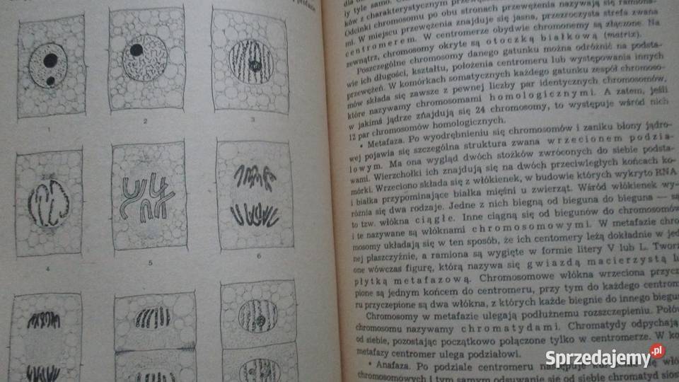 Świat roślin roślinność botanika biologia Łódź