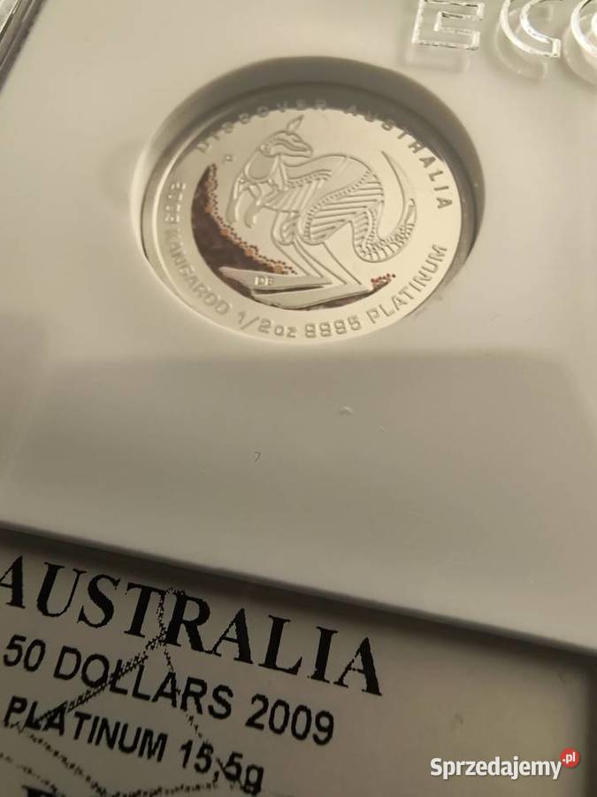 Kangur 2009 proof pół uncji PLATYNA grading PR70 śląskie Bielsko-Biała sprzedam