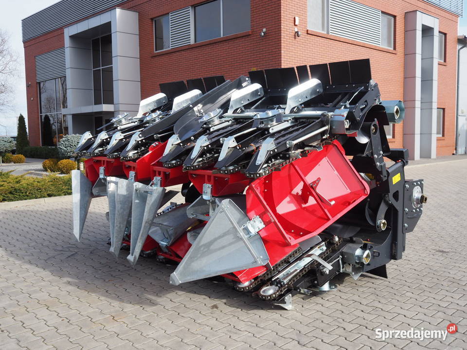 Dominoni SL 978 BG ROCK Heder do kukurydzy Claas Pozostałe sprzedam