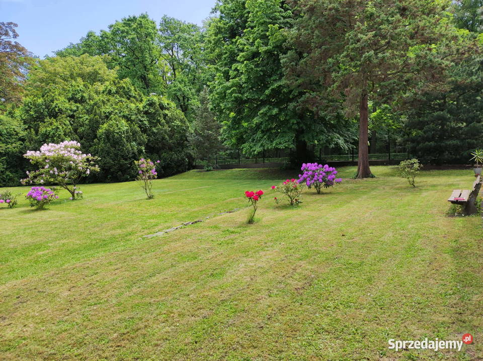 14pok 300met Lipińskiego PIĘKNY OGRÓD2 GARAŻE Wrocław