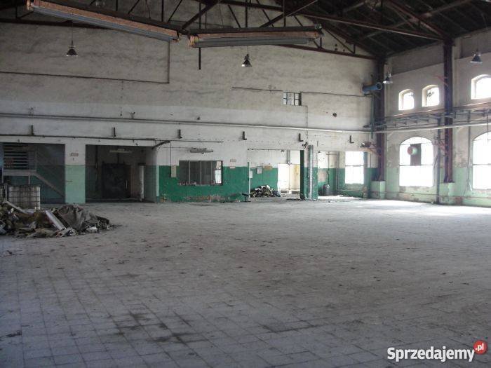 2 Hale magazynowoprodukcyjne 2400 m2 Racibórz