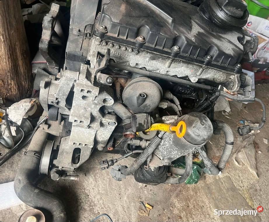 Silnik vw Sharan 19 Tdi BVK 2009r osobowe pomorskie Czarna Woda