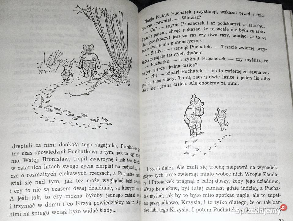 Kubuś Puchatek Alan Alexander Milne Rok wydania 1989 Chełm