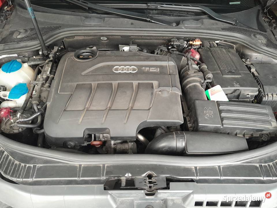 Audi A3 Sportback 8p Lift 20 TDI CR Xenon Led isofix Tarnów
