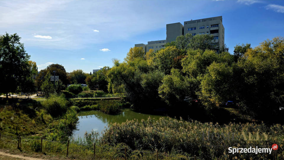 sprzedaży mieszkania 425m2 2 pokoje Warszawa Rok budowy 1972 sprzedam
