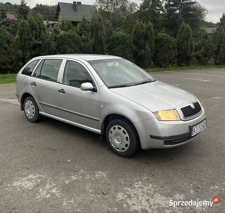 Skoda Fabia 19 TDI 2002r manualna podkarpackie Strzegocice