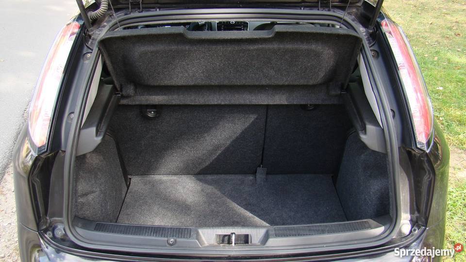 Fiat Punto Evo 2010 dynamiczne auto do miasta i 113000km Poznań