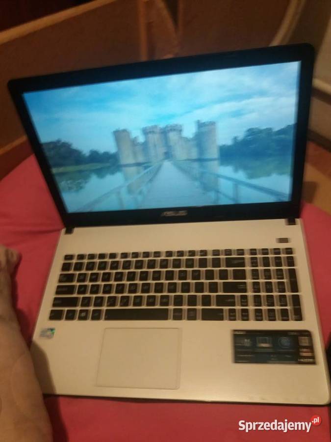 Asus laptop modelX501A