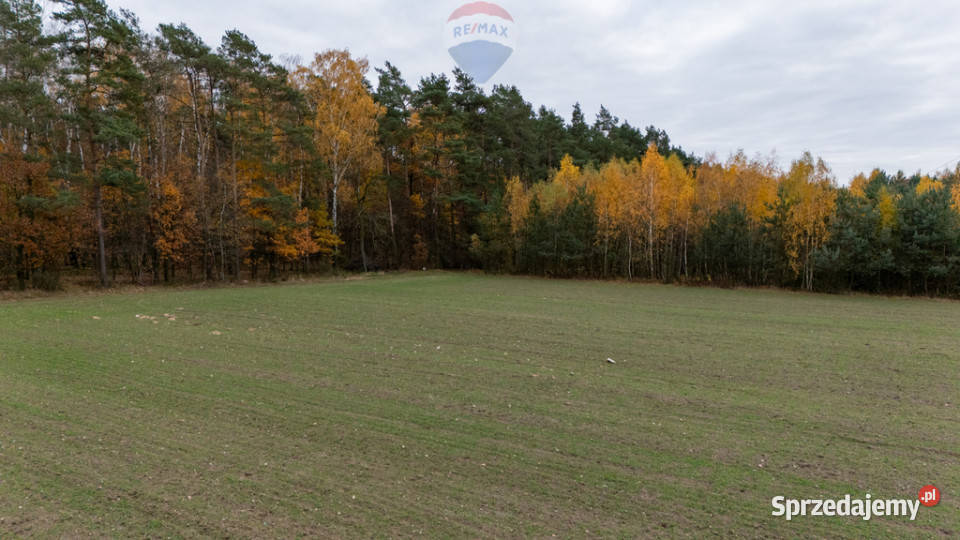 Działka pod lasem Załuski