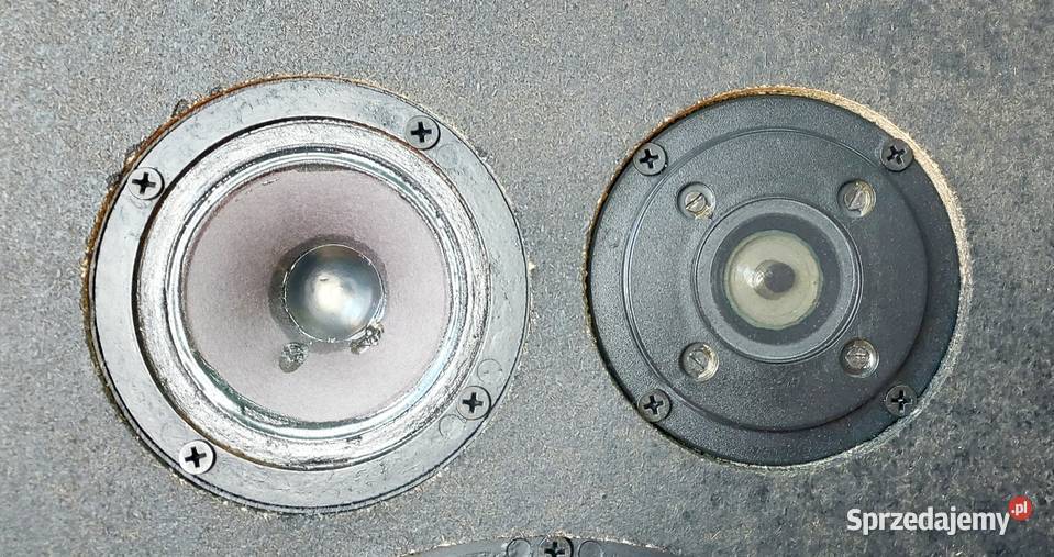 Kolumny RT Głośniki SEAS PHILIPS AlNiCo Made In Starachowice sprzedam