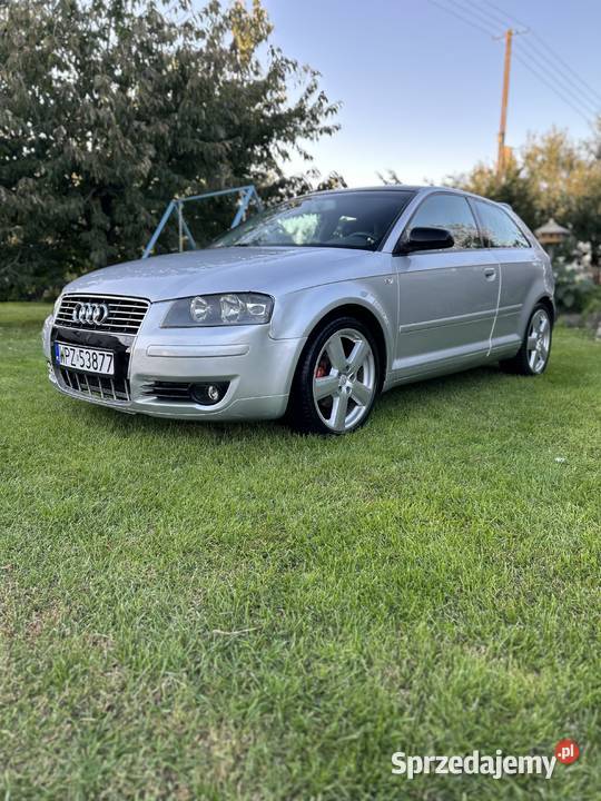 Audi A3 8P Pawłowo Kościelne