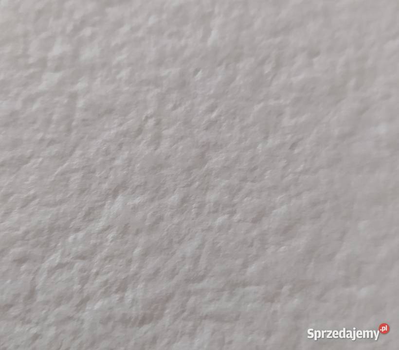 Akwaforta kolorowa 4 sztuki pomorskie Gdańsk sprzedam