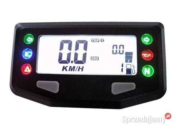 Licznik uniwersalny Acewell ACE254 różne kolory Puchaczów