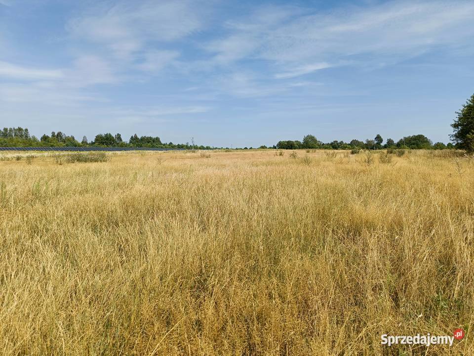 Działki budowlane 1130m2 Tąpkowice Brynicka budowlana Sprzedaż