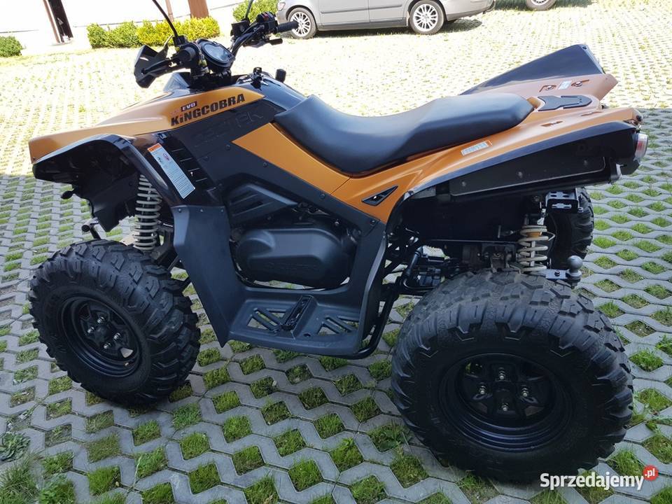 CECTEK KINGCOBRA EFI 500 Homologacja DOSTAWA CECTEK Wały A