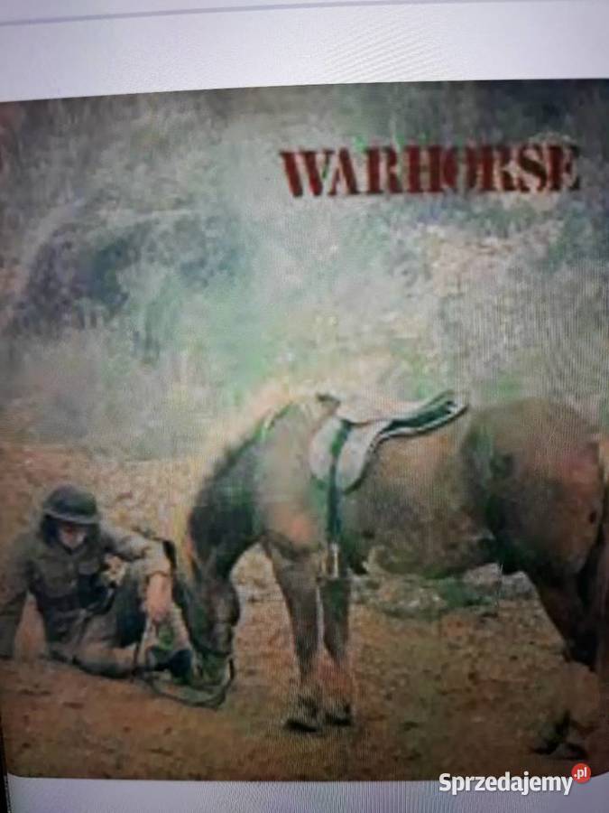 Archiwum hard blues rocka WARHORSE Live in Woods rock Rzeszów