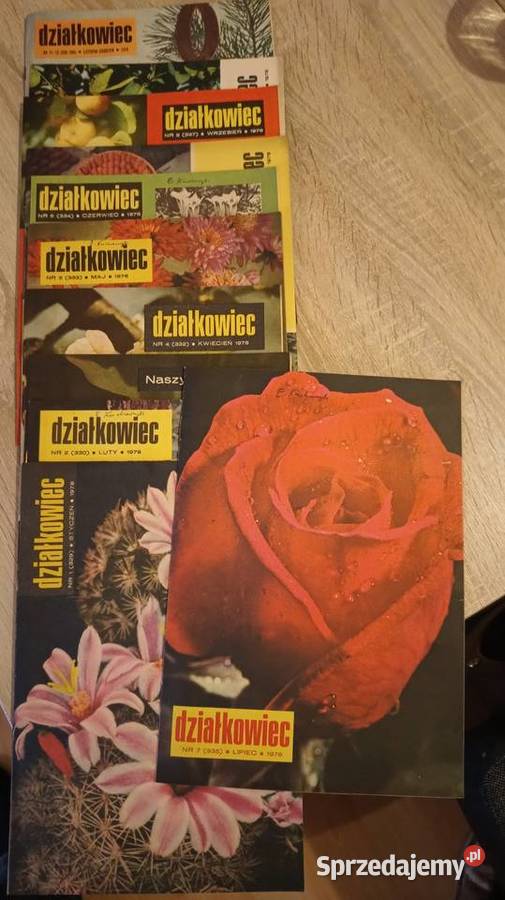 Działkowiec czasopismo PRL Jędrzejów sprzedam