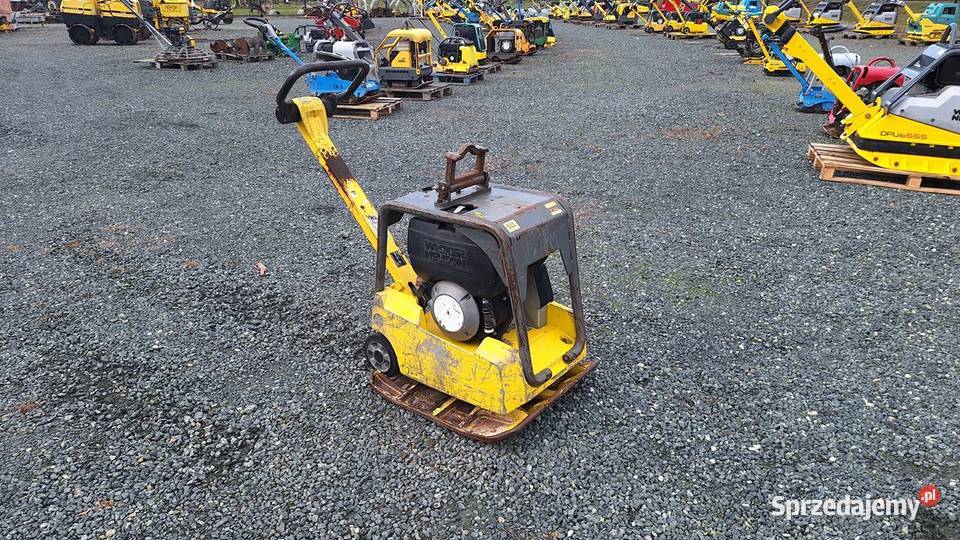 2017 Zagęszczarka Płyta Ubijak WACKER NEUSON DPU Rok produkcji 2017 Trzebnica