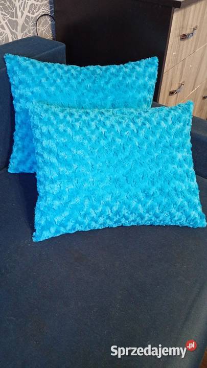 Poduszka dekoracyjna Wyposażenie wnętrz Inowrocław