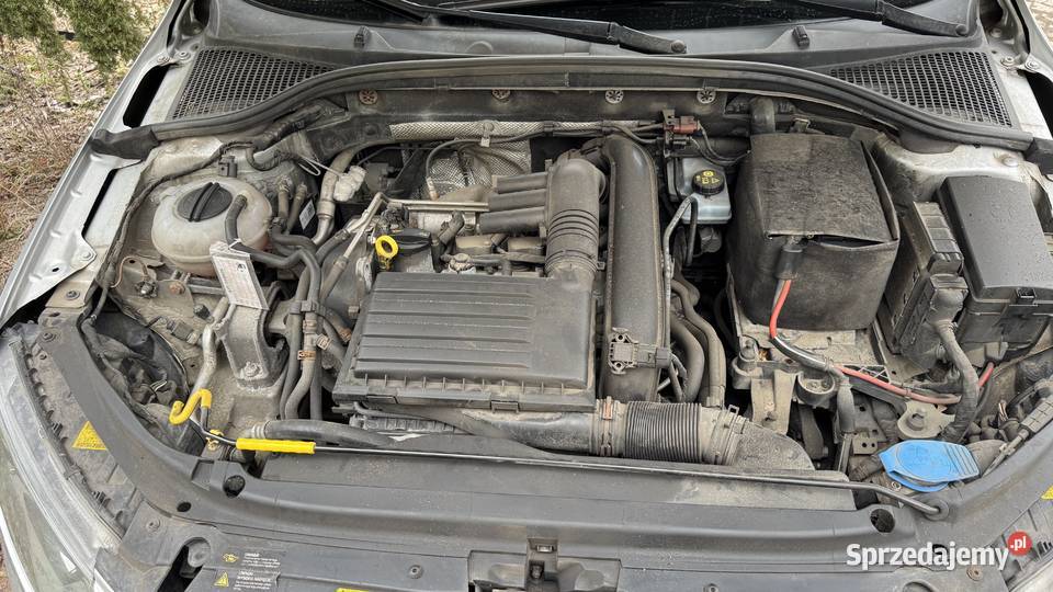 Skoda Octavia Mrozów