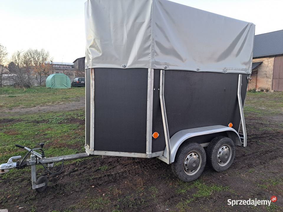 Przyczepka przyczepa do przewozu zwierząt koni Sadowie