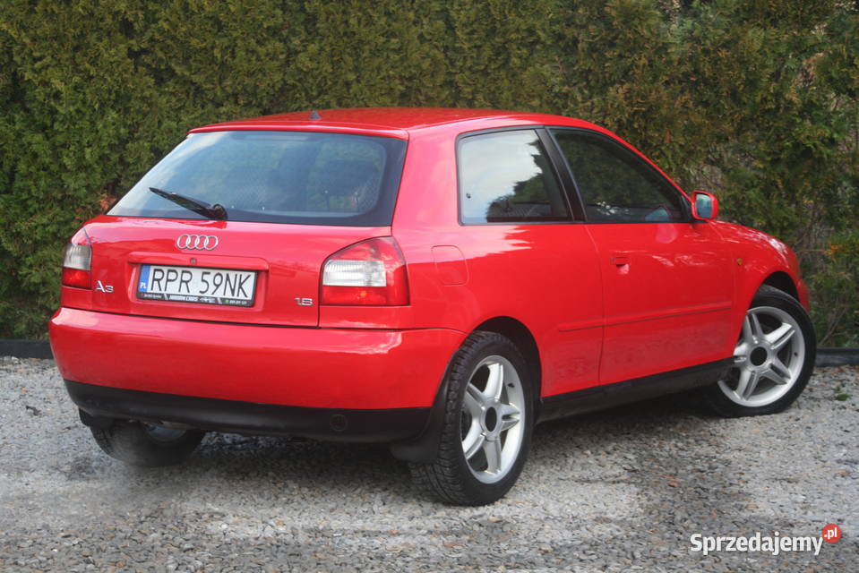 Audi A3 8L 18B LPG 125 MEGA ZADBANA ALU 17 KLIMA nieuszkodzony Dynów