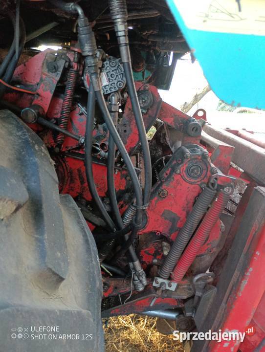 Sieczkarnia Mengele mammut 6800 nie Claas jaguar Wieleń