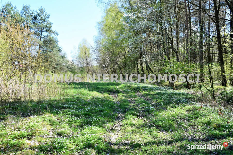 Działka Grębosze 4400m2 świętokrzyskie