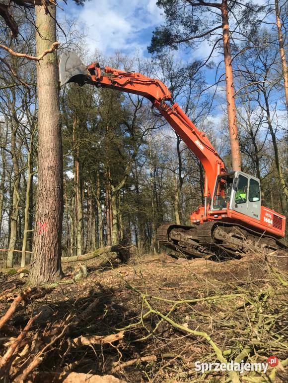 Przygotowanie terenu inwestycji Wycinka drzew Zielona Góra prace ogrodowe