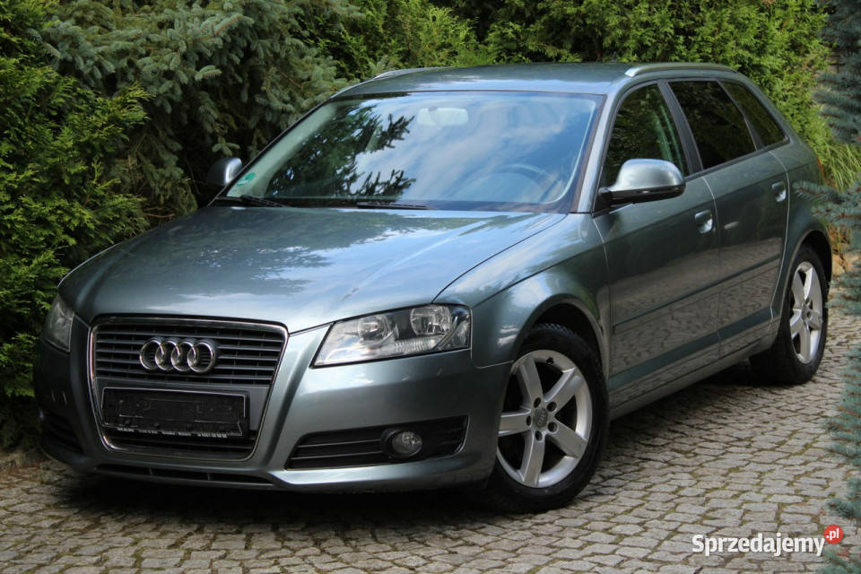 Audi A3 Benzyna Sportbec 160 164 Zadbana 8P 4/5 Lubań sprzedam