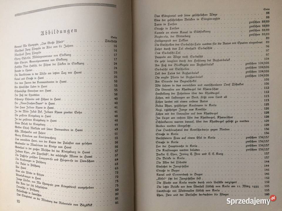 3604 Die Flucht Des Grossen Pferdes Szczecin