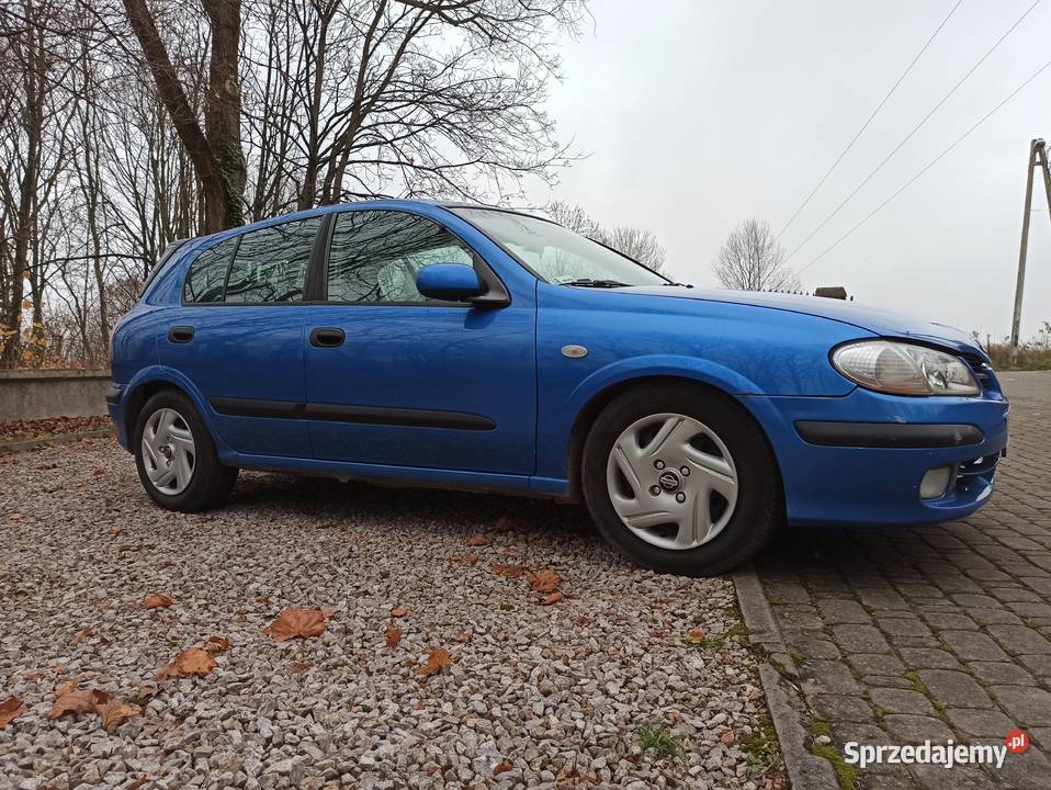 Nissan Almera n16 22 diesel najlepszy silnik lakier metallic Almera sprzedam