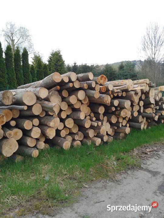 BUK wałki drzewne 25 metrowe drewniane 25 Jeleśnia sprzedam