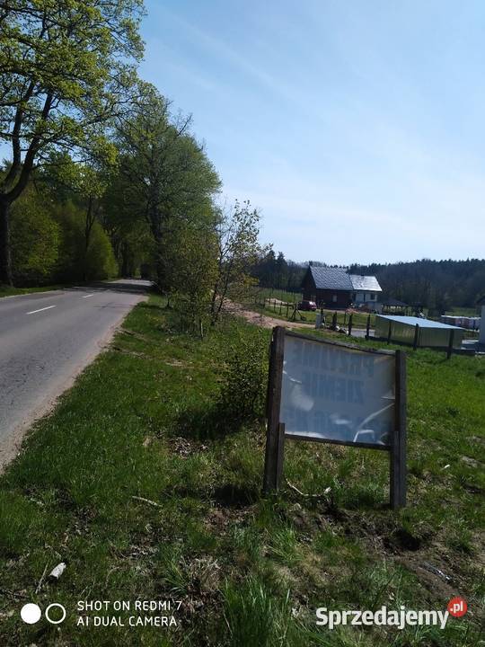 Działka Tadzino gmina Gniewino sprzedam