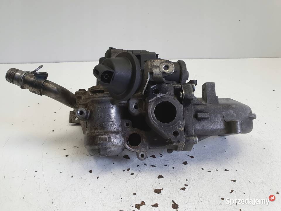 Peugeot 5008 16 HDI EHDI ZAWÓR EGR 50563903 Rudka