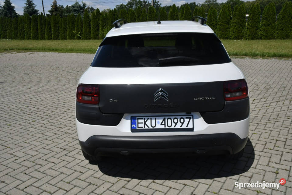 Citroen C4 Cactus 16hdi DUDKI11 234000km łódzkie Kutno