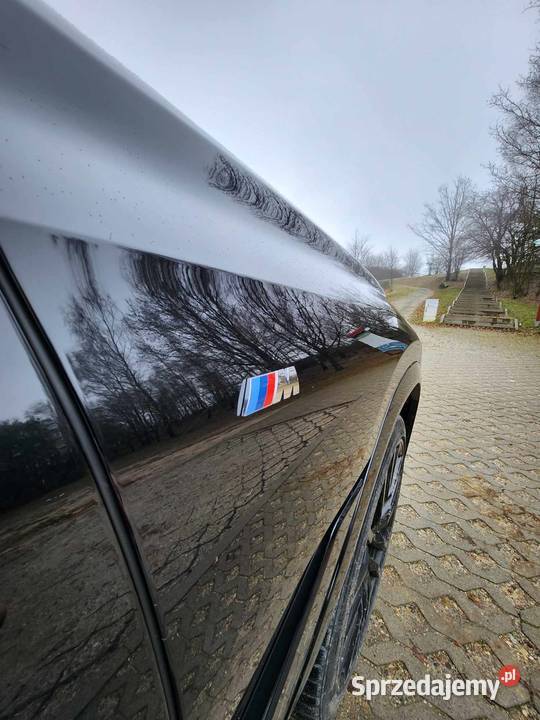 BMW X6 30d Mpakiet xDrive wielkopolskie Ostrzeszów