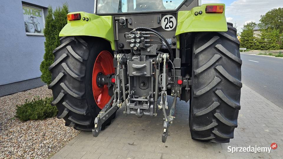Claas Celtis 446 RX TUR Claas Gruntowice