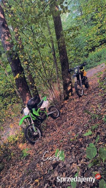 Kawasaki kx 85 2004 cross