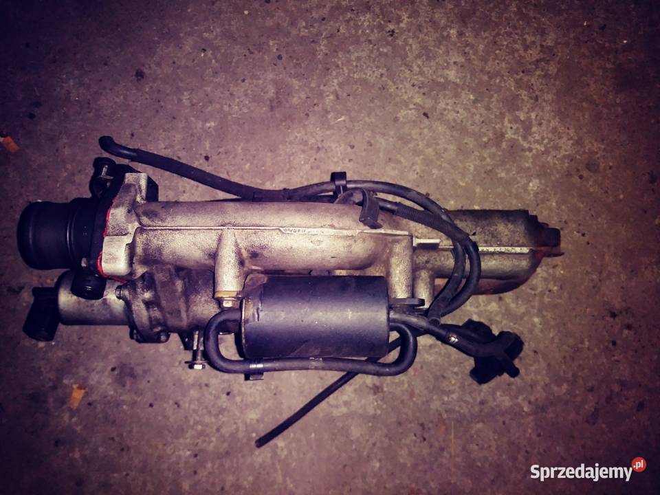Kolektor ssący renault laguna ll 19 DCi Posługowo
