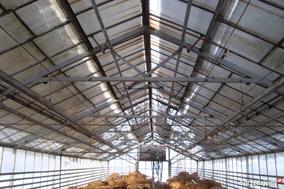 Szklarnie do rozbiórki 330 m2 Pozostałe Bochnia