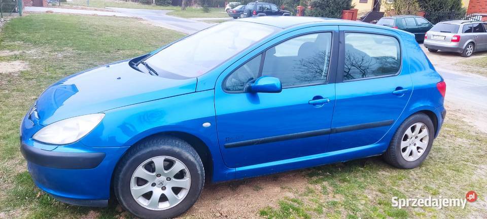 Peugeot 307 16 Lpg Konin sprzedam