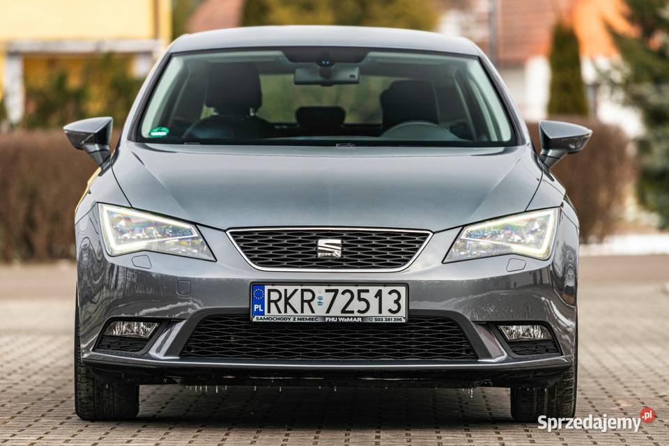 SEAN LEON radio Leon Zalesie