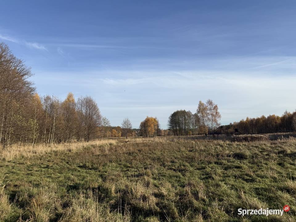 Działka rolna 1300m Wieluń 1300m2 Grunty i działki sprzedam