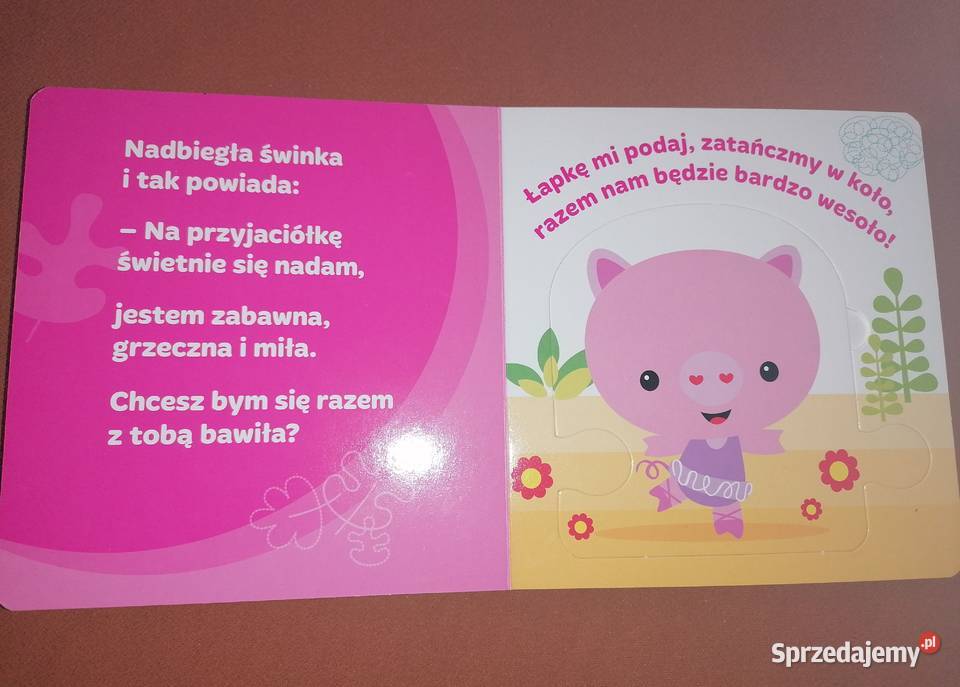 Fisher Książka Łapkę mi podaj Kozłowska Łódź sprzedam