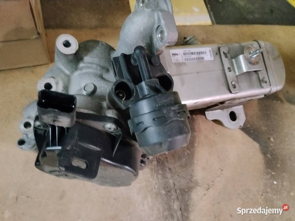 EGR Ford osobowe Jawor