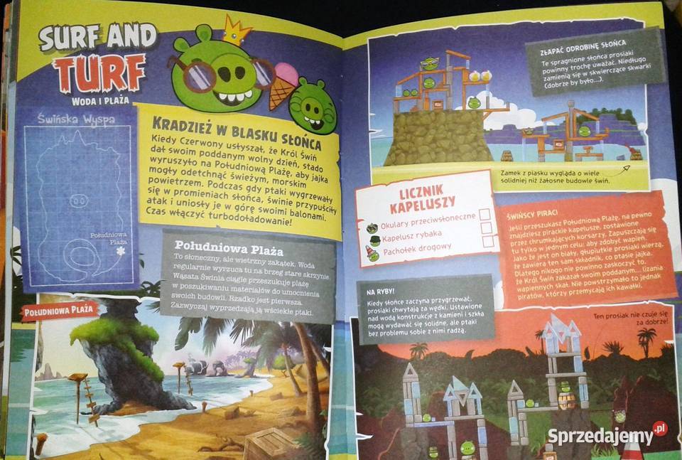 Angry Birds Kolorowy świat Oficjalny przewodnik miękka Chełm