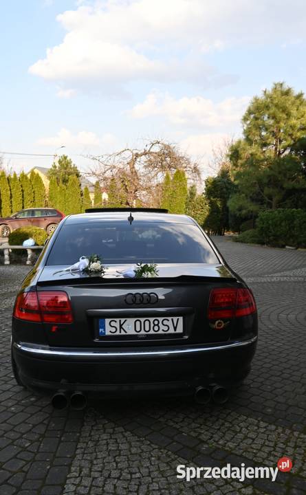 Audi A8 nieuszkodzony Aleksandria